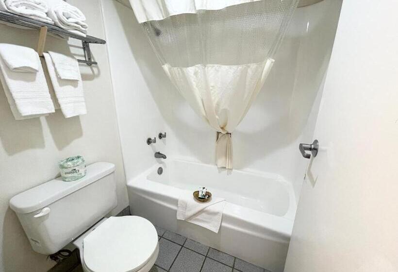 غرفة قياسية سرير كينج, Lulu Silver City