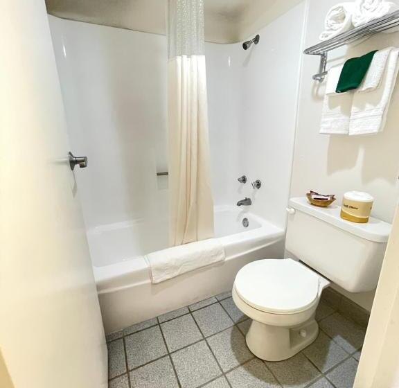 غرفة قياسية سرير كينج, Lulu Silver City