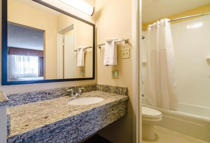Номер Стандарт 2 Двуспальные Кровати, Quality Inn & Suites