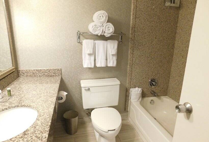 ２ダブルベッドのスタンダードルーム, Radisson Hotel Fort Worth North Fossil Creek