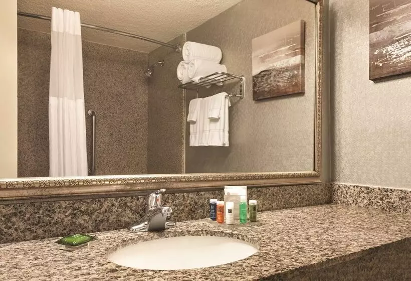 Premium-huone, Radisson Hotel Fort Worth North Fossil Creek
