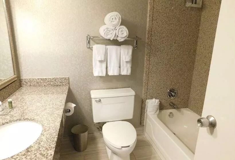 Premium-huone, Radisson Hotel Fort Worth North Fossil Creek