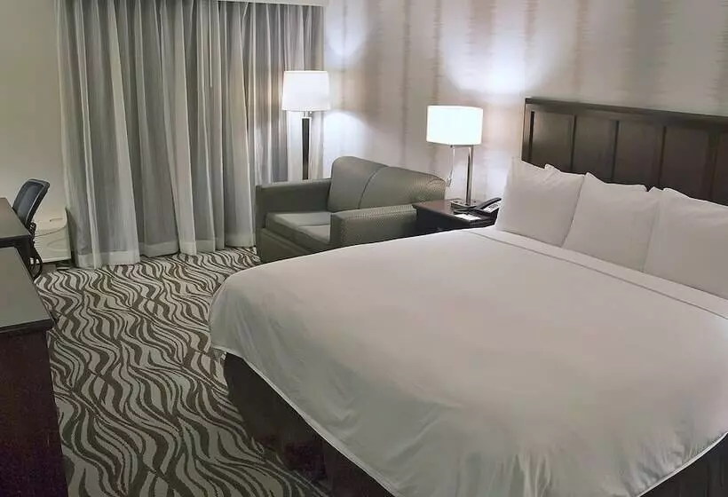 Premium-huone, Radisson Hotel Fort Worth North Fossil Creek