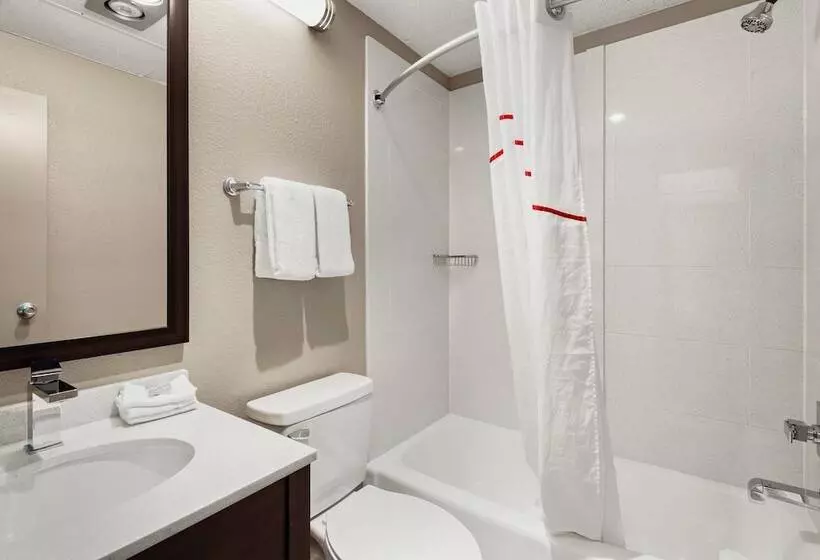 スーペリアールーム, Red Roof Inn Norwich