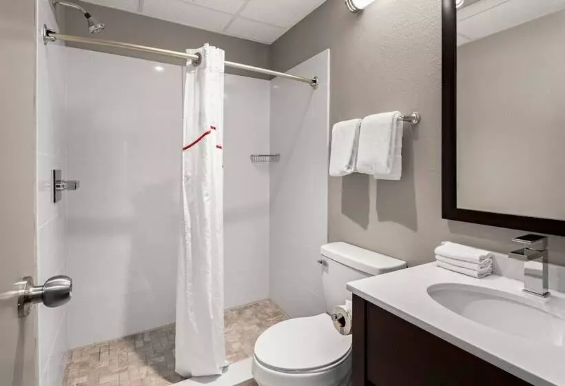 身障者適用スーペリアールーム, Red Roof Inn Norwich