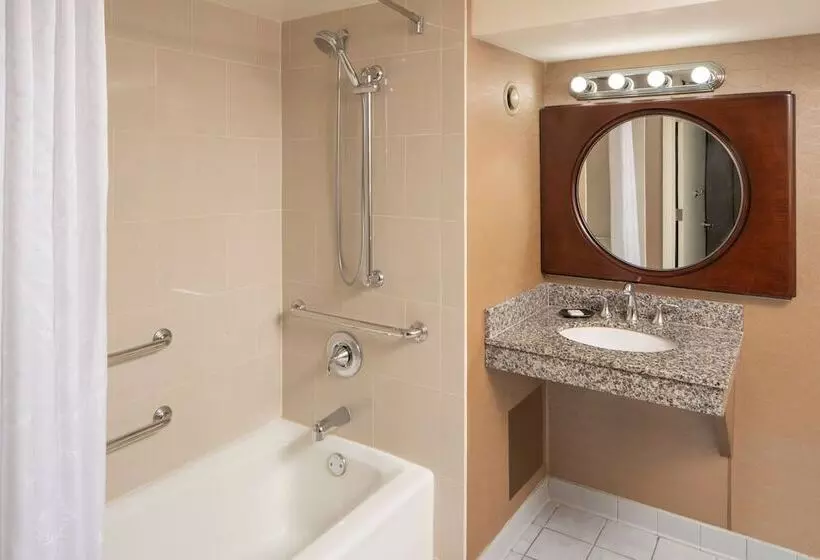 ダブルベッドのクラシックルーム, Sheraton Tampa Brandon