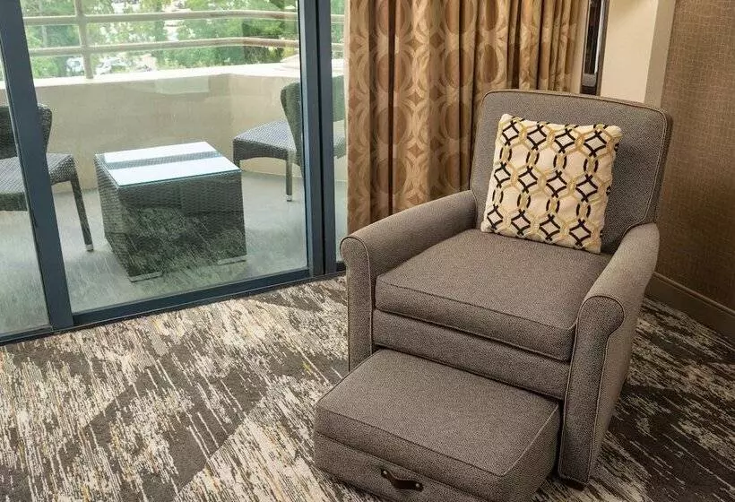 ダブルベッドのクラシックルーム, Sheraton Tampa Brandon
