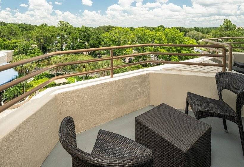 Номер Классика Двуспальная Кровать, Sheraton Tampa Brandon