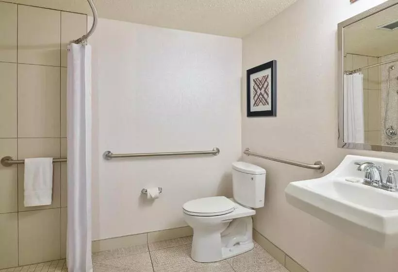 キングサイズベッドのスタンダードルーム, Sheraton Tucson Hotel & Suites