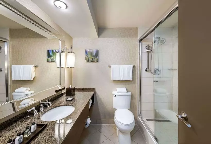 Executive-huone, Sonesta White Plains Downtown