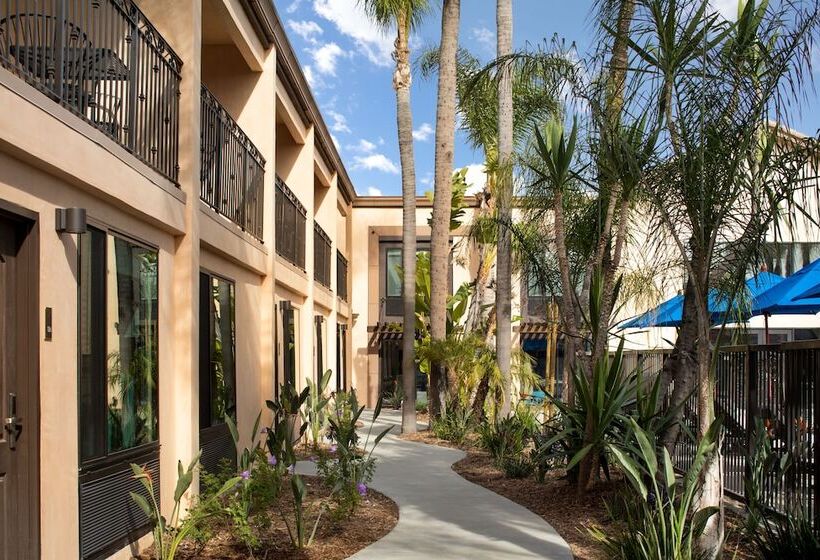 スタンダードルーム, The Cove