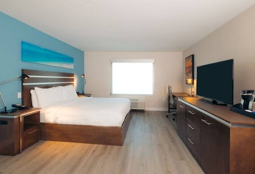 スタンダードルーム, The Cove