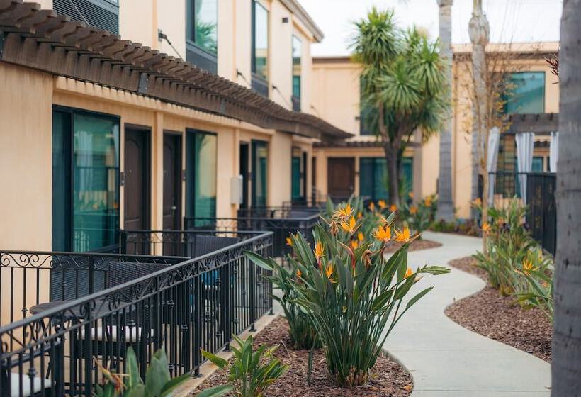 スタンダードルーム, The Cove