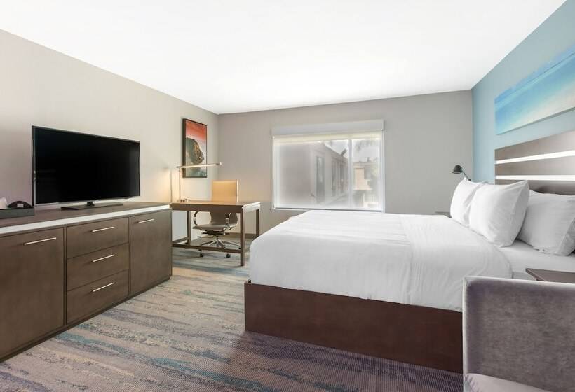 スタンダードルーム, The Cove