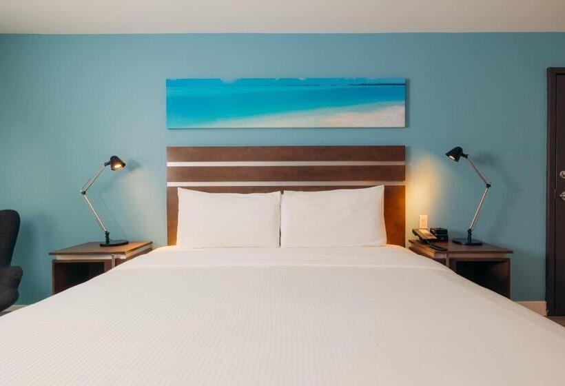 身障者適用キングサイズベッドルーム, The Cove