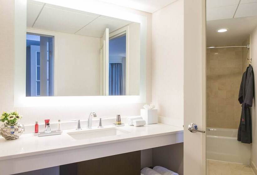 جناح, Hampton Inn & Suites Downers Grove Chicago