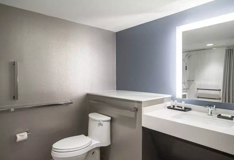 اتاق استاندارد با 2 تخت دوبل, Crystal City Marriott At Reagan National Airport