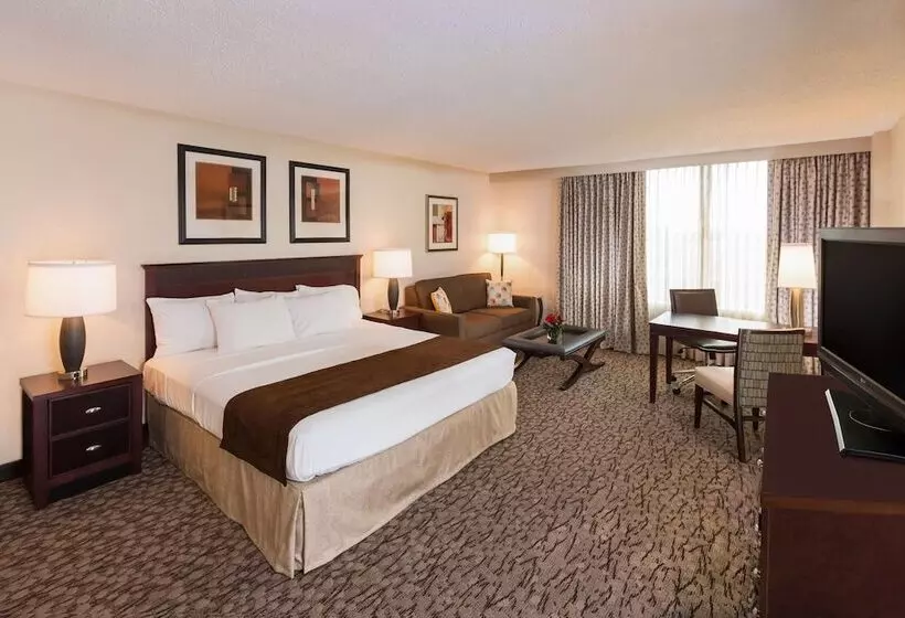 اتاق اجرایی, Doubletree By Hilton Hotel Lafayette