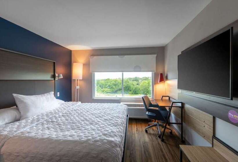 适合残疾人士使用的带超级大床的标准间, Hilton Knoxville Airport