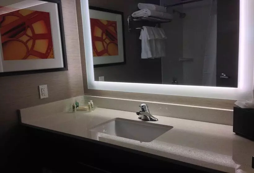 اتاق استاندارد, Holiday Inn Milwaukee Riverfront By Ihg