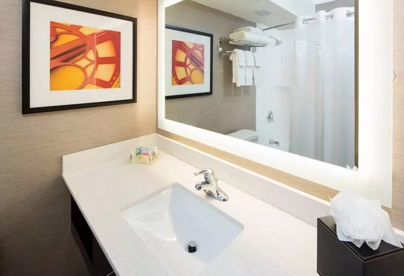 اتاق استاندارد با 2 تخت دوبل, Holiday Inn Milwaukee Riverfront, An Ihg