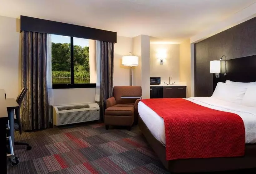 اتاق استاندارد با تخت بزرگ, Holiday Inn Milwaukee Riverfront, An Ihg