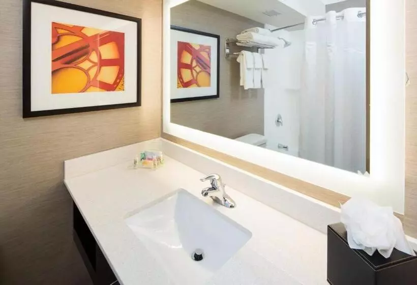اتاق استاندارد با تخت بزرگ برای معلولان, Holiday Inn Milwaukee Riverfront, An Ihg