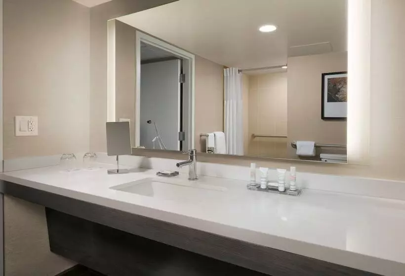 ２ダブルベッドのスタンダードルーム, Houston Marriott Medical Center/museum District