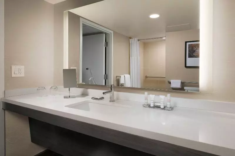 キングサイズベッドのスタンダードルーム, Houston Marriott Medical Center/museum District