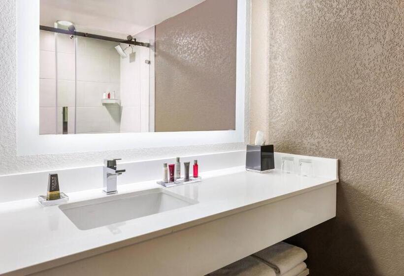 스탠다드 룸 킹사이즈 침대, Marriott Orlando Airport Lakeside