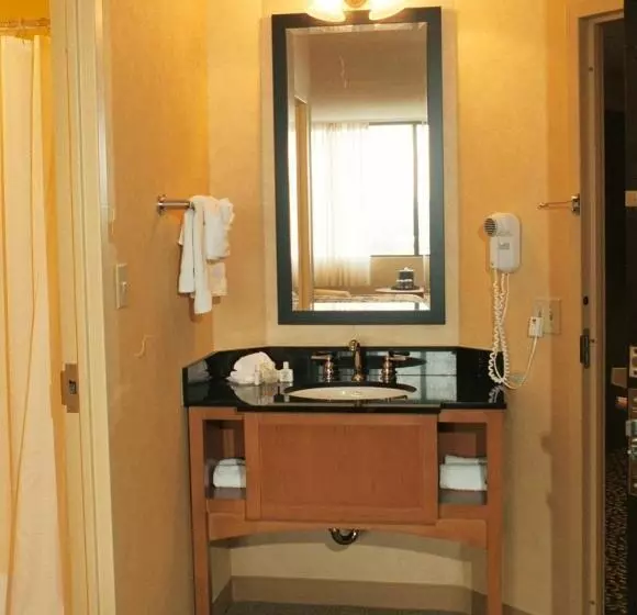 اتاق استاندارد با تخت بزرگ, Millennium Maxwell House Nashville
