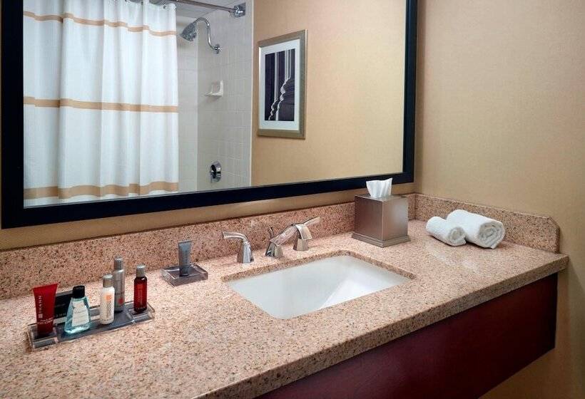 Номер Стандарт Двуспальная Кровать, Washington Dulles Airport Marriott