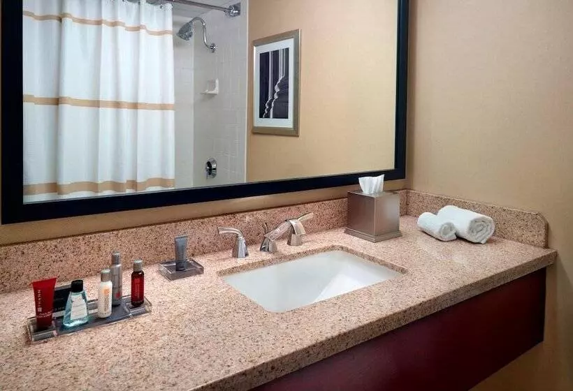 اتاق استاندارد با تخت دوبل, Washington Dulles Airport Marriott