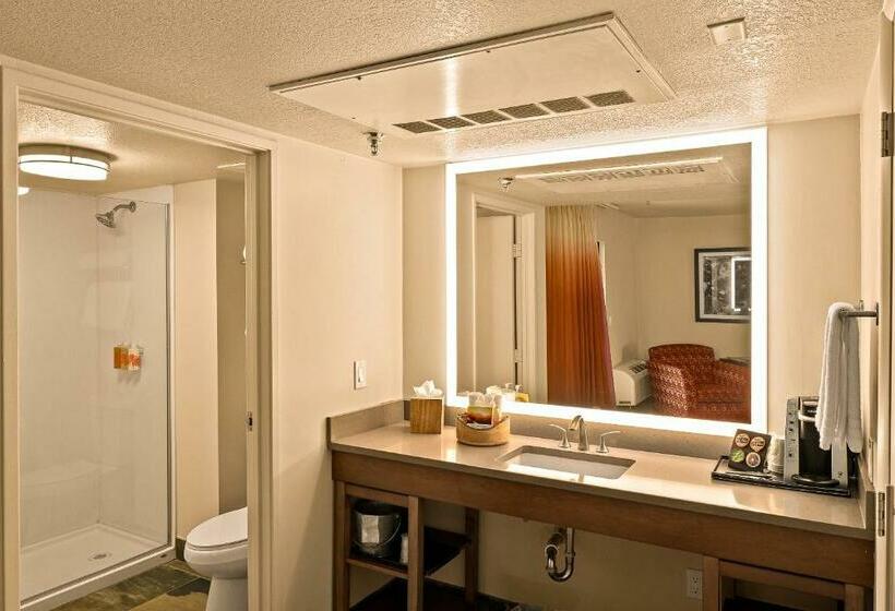 디럭스 룸, Arabella Hotel Sedona