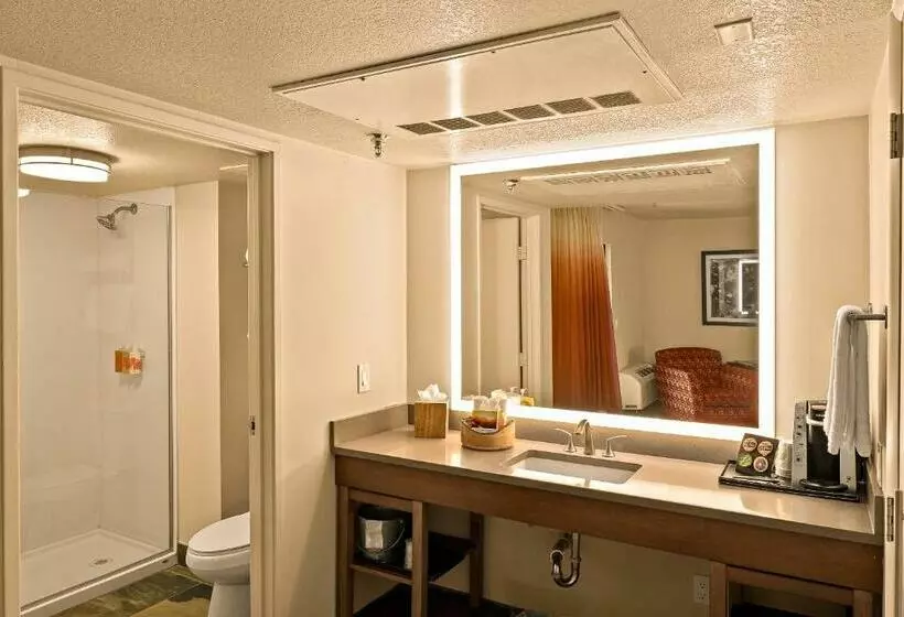 اتاق لوکس, Arabella Hotel Sedona