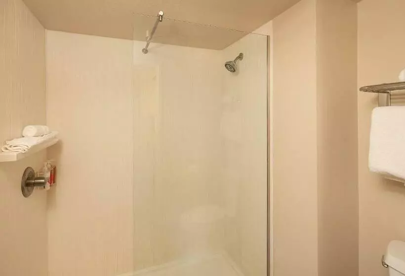 اتاق لوکس با تخت بزرگ, Arabella Hotel Sedona