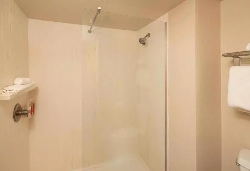 اتاق دلوکس با تخت کینگ و چشم‌انداز, Arabella Hotel Sedona