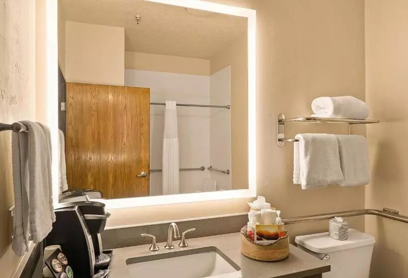 اتاق استاندارد برای معلولان, Arabella Hotel Sedona