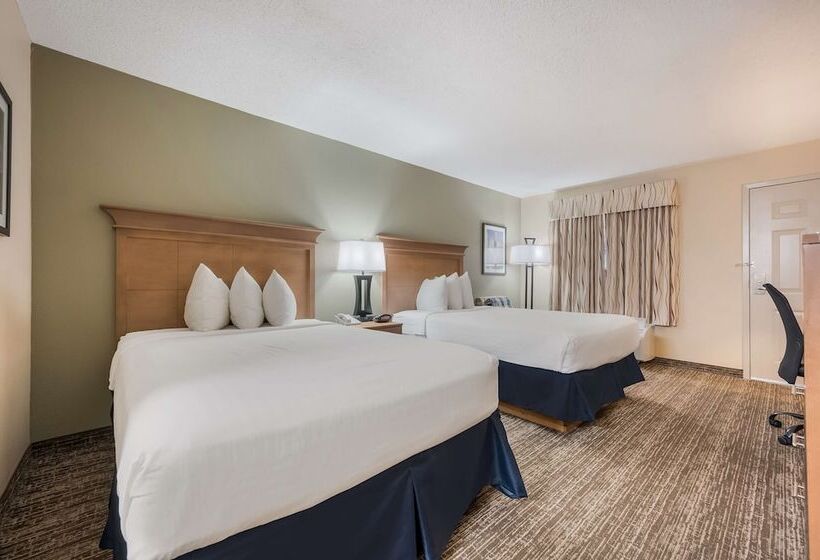 带2个双人床的标准工作室, Best Western University Inn