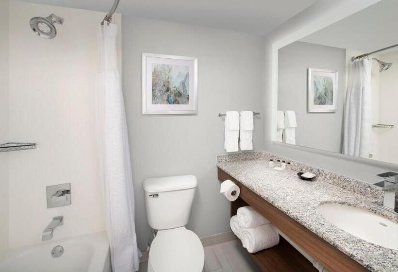 غرفة قياسية سرير كينج, Crowne Plaza San Antonio Airport By Ihg