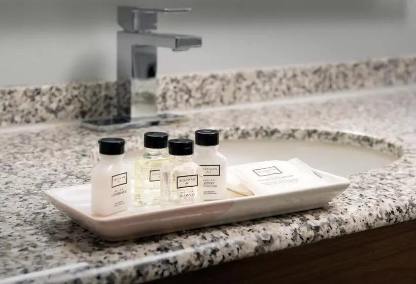 身障者適用スタンダードルーム, Crowne Plaza San Antonio Airport By Ihg