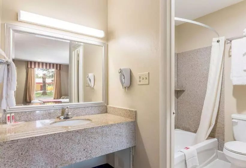 2ダブルベッドのスタンダードルーム, Econo Lodge Pocomoke City Hwy 13