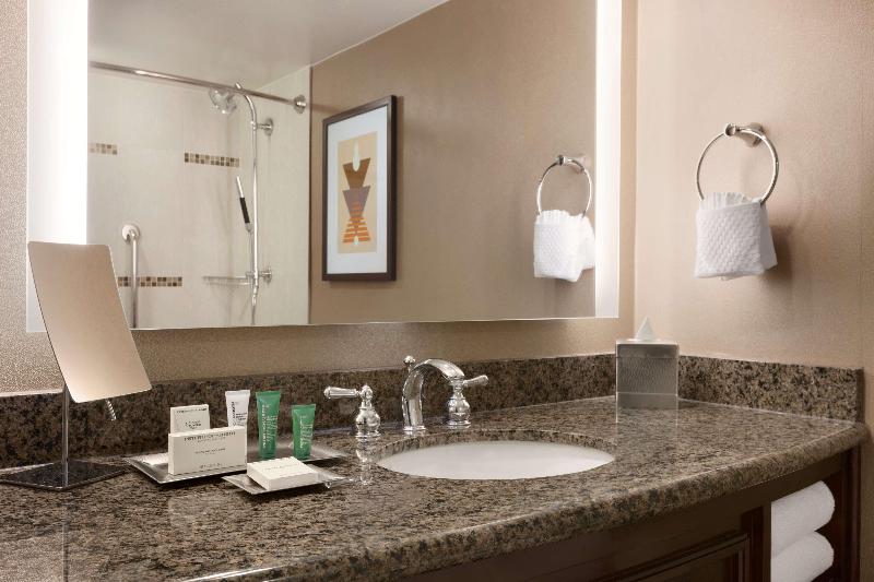 스탠다드 룸 킹사이즈 침대, Hilton Arlington