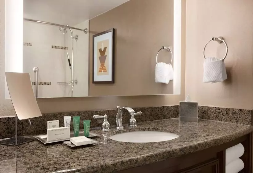 اتاق کلاب, Hilton Arlington