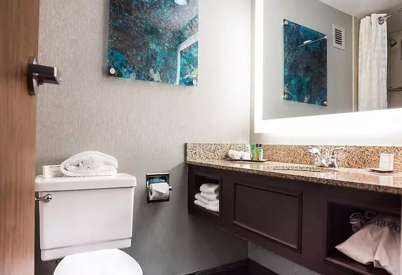 ダブルベッドスタンダードルーム, Hilton Houston Nasa Clear Lake