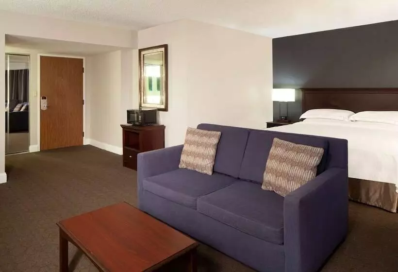 景色の見えるジュニアスイート, Hilton Houston Nasa Clear Lake