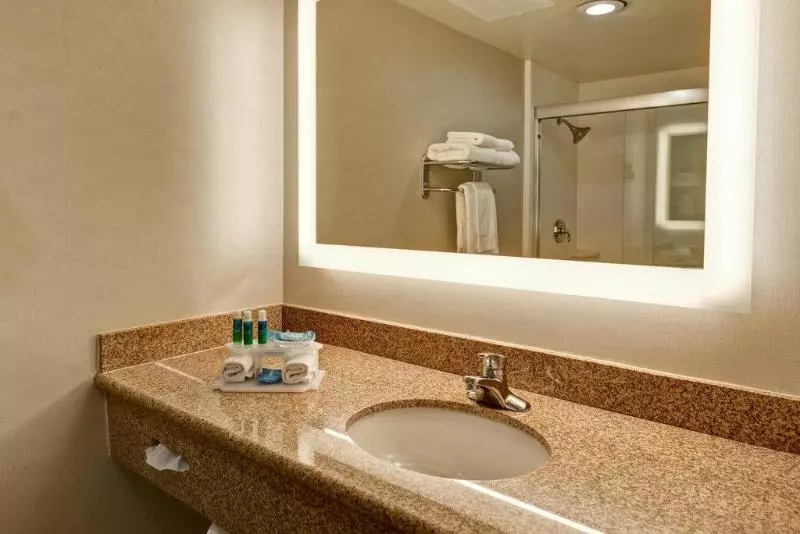 اتاق استاندارد با تخت بزرگ برای معلولان, Holiday Inn Express Newport Beach, An Ihg