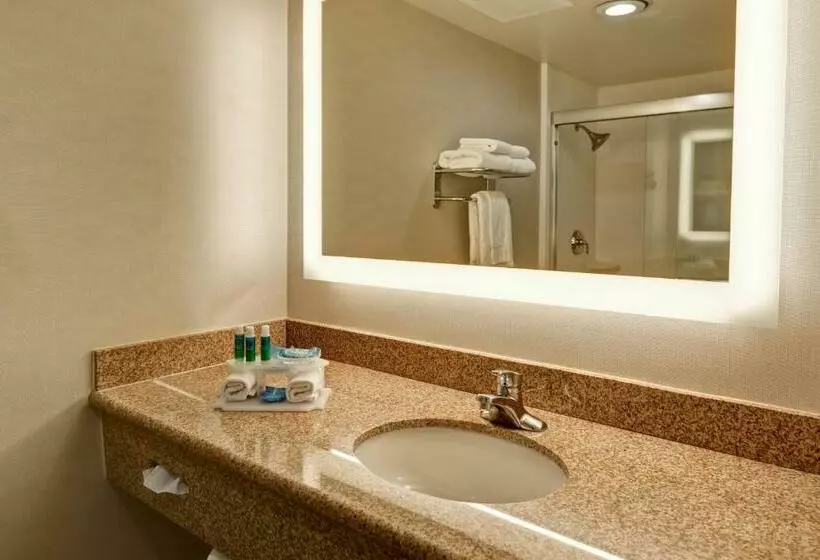 اتاق لوکس با تخت بزرگ, Holiday Inn Express Newport Beach, An Ihg