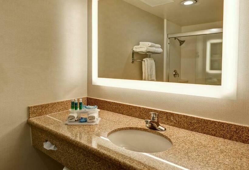 غرفة قياسية سرير كينج لذوى الإحتياجات الخاصة, Holiday Inn Express Newport Beach, An Ihg