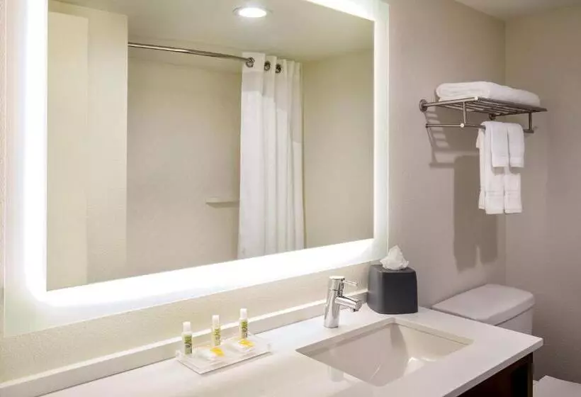اتاق استاندارد, Holiday Inn Newport News   Hampton, An Ihg